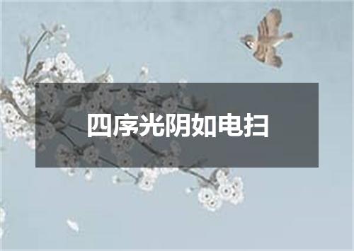 四序光阴如电扫