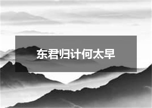 东君归计何太早
