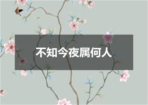 不知今夜属何人