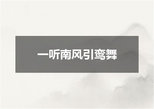一听南风引鸾舞