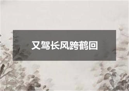 又驾长风跨鹤回