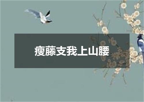 瘦藤支我上山腰