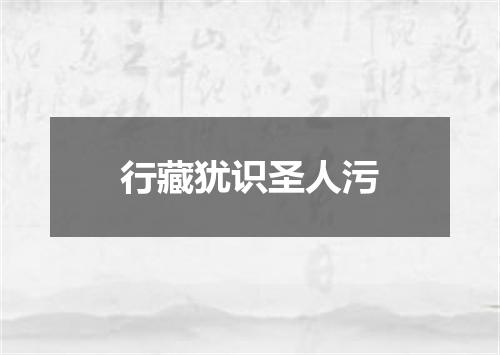 行藏犹识圣人污