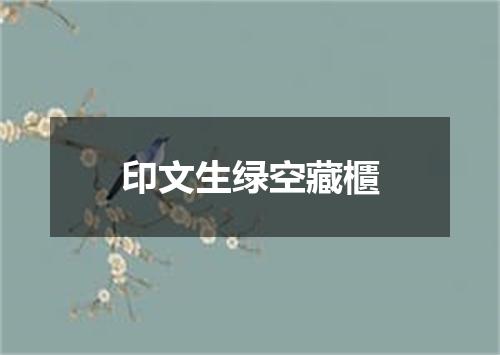 印文生绿空藏櫃