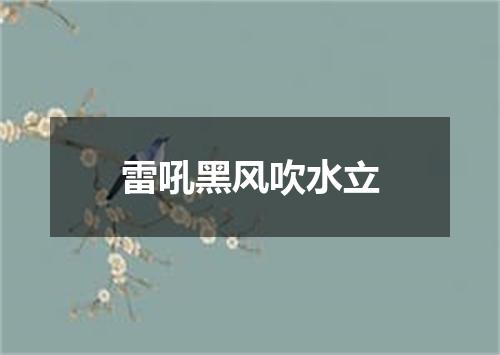 雷吼黑风吹水立