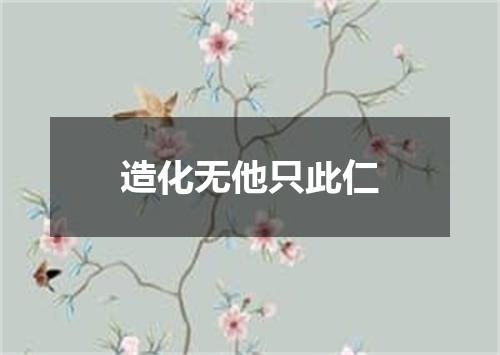 造化无他只此仁
