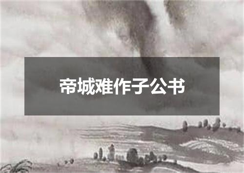 帝城难作子公书