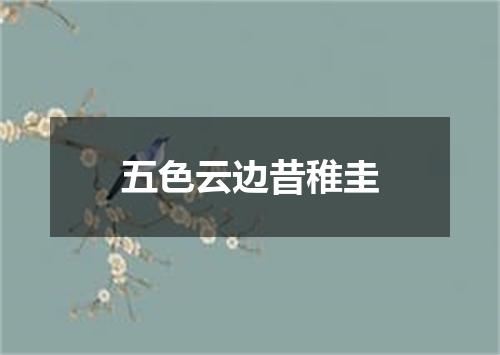 五色云边昔稚圭