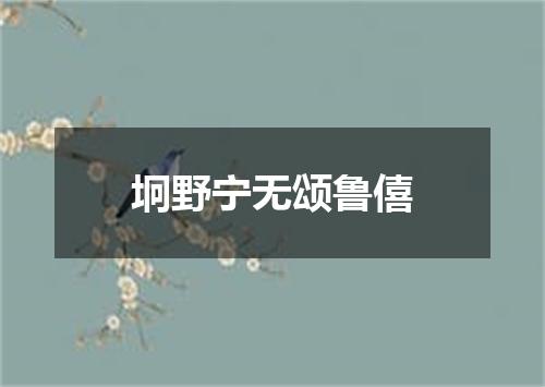 坰野宁无颂鲁僖