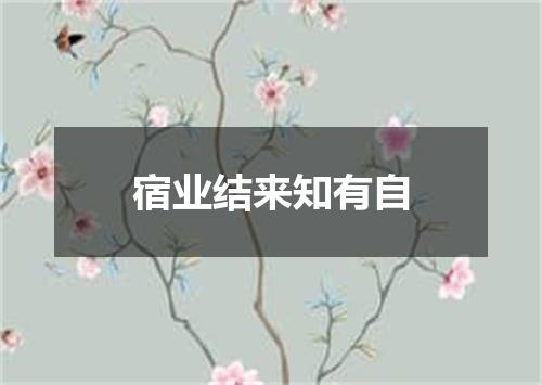 宿业结来知有自