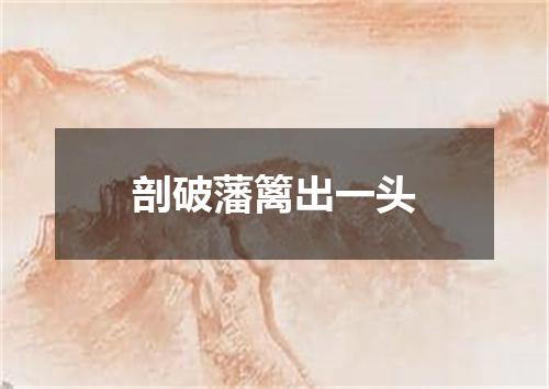 剖破藩篱出一头