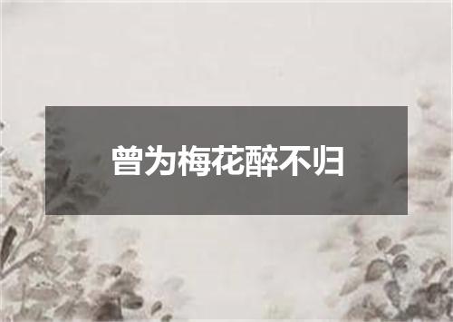 曾为梅花醉不归