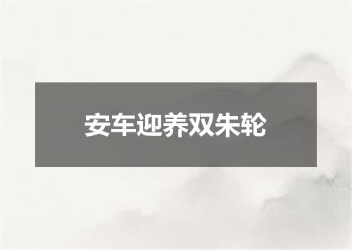 安车迎养双朱轮