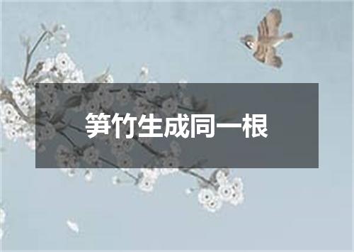 笋竹生成同一根