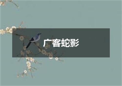 广客蛇影