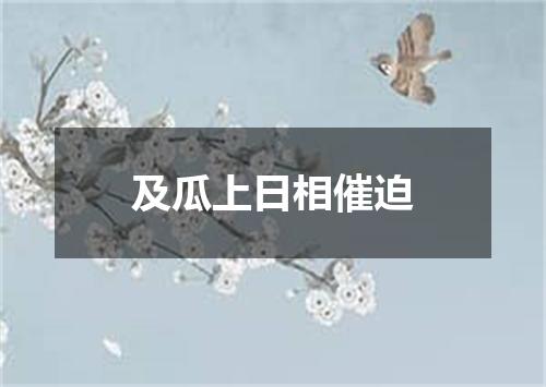 及瓜上日相催迫