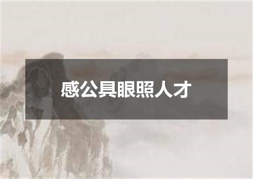 感公具眼照人才