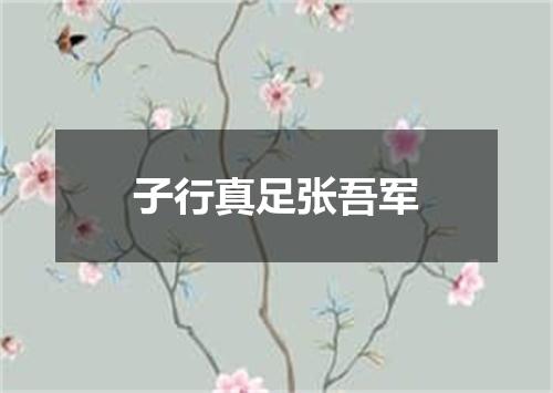 子行真足张吾军