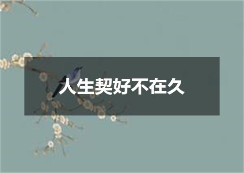 人生契好不在久