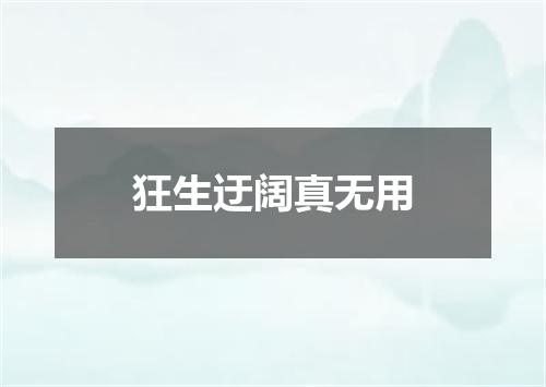 狂生迂阔真无用