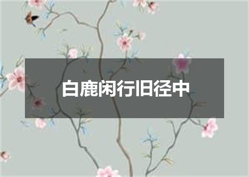 白鹿闲行旧径中