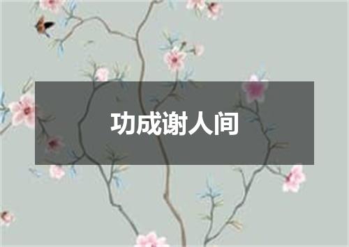 功成谢人间