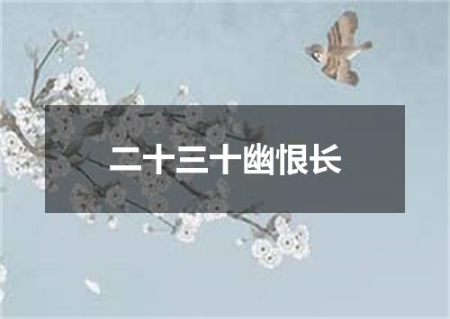 二十三十幽恨长