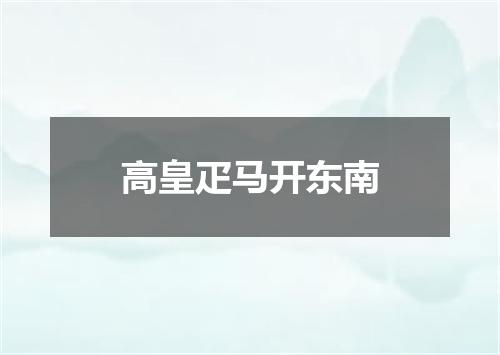高皇疋马开东南