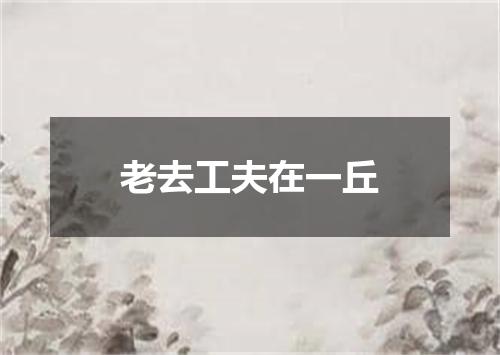 老去工夫在一丘