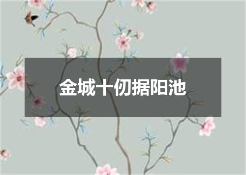 金城十仞据阳池