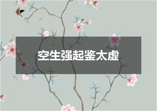 空生强起鉴太虚