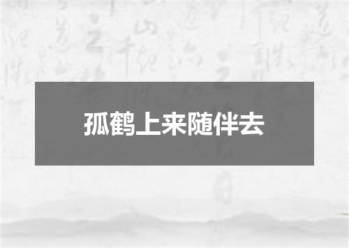 孤鹤上来随伴去