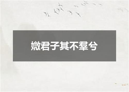 媺君子其不羣兮