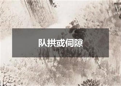 队拱或伺隙