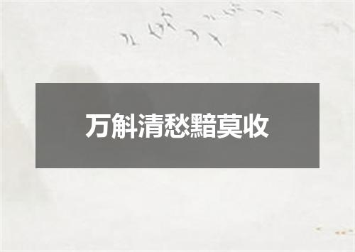 万斛清愁黯莫收