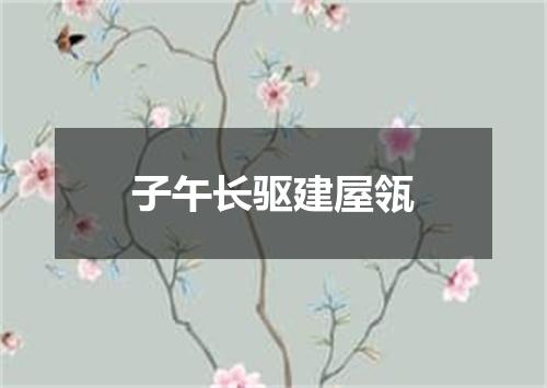 子午长驱建屋瓴