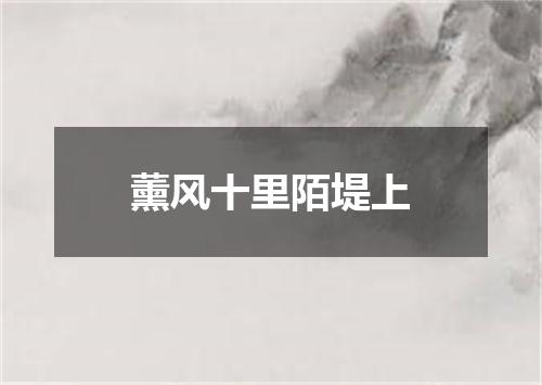 薰风十里陌堤上