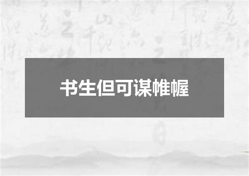 书生但可谋帷幄