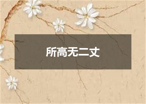 所高无二丈