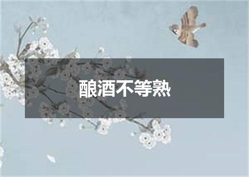 酿酒不等熟