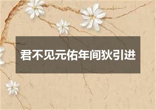 君不见元佑年间狄引进