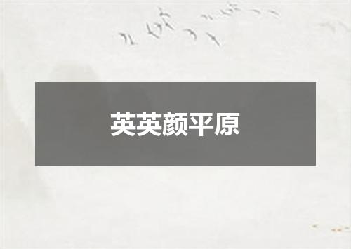 英英颜平原