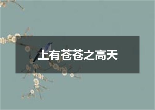 上有苍苍之高天