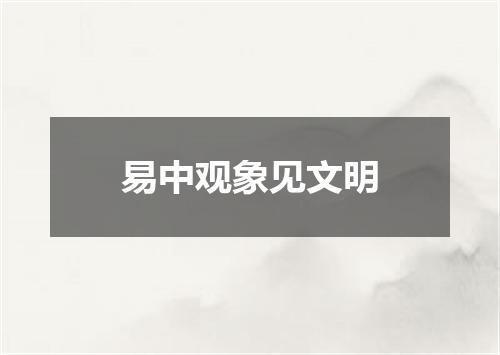 易中观象见文明
