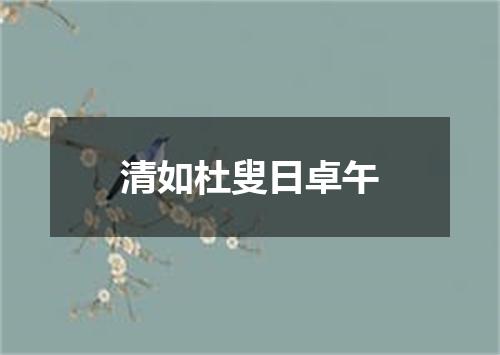 清如杜叟日卓午