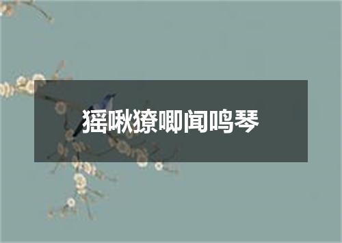 猺啾獠唧闻鸣琴