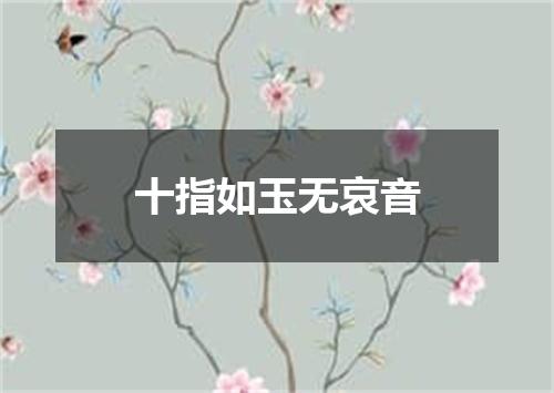 十指如玉无哀音