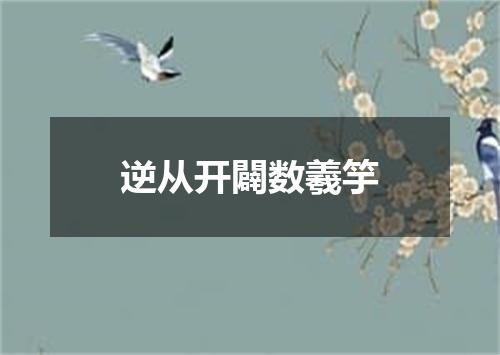 逆从开闢数羲竽