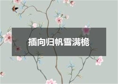 插向归帆雪满桅