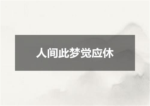 人间此梦觉应休